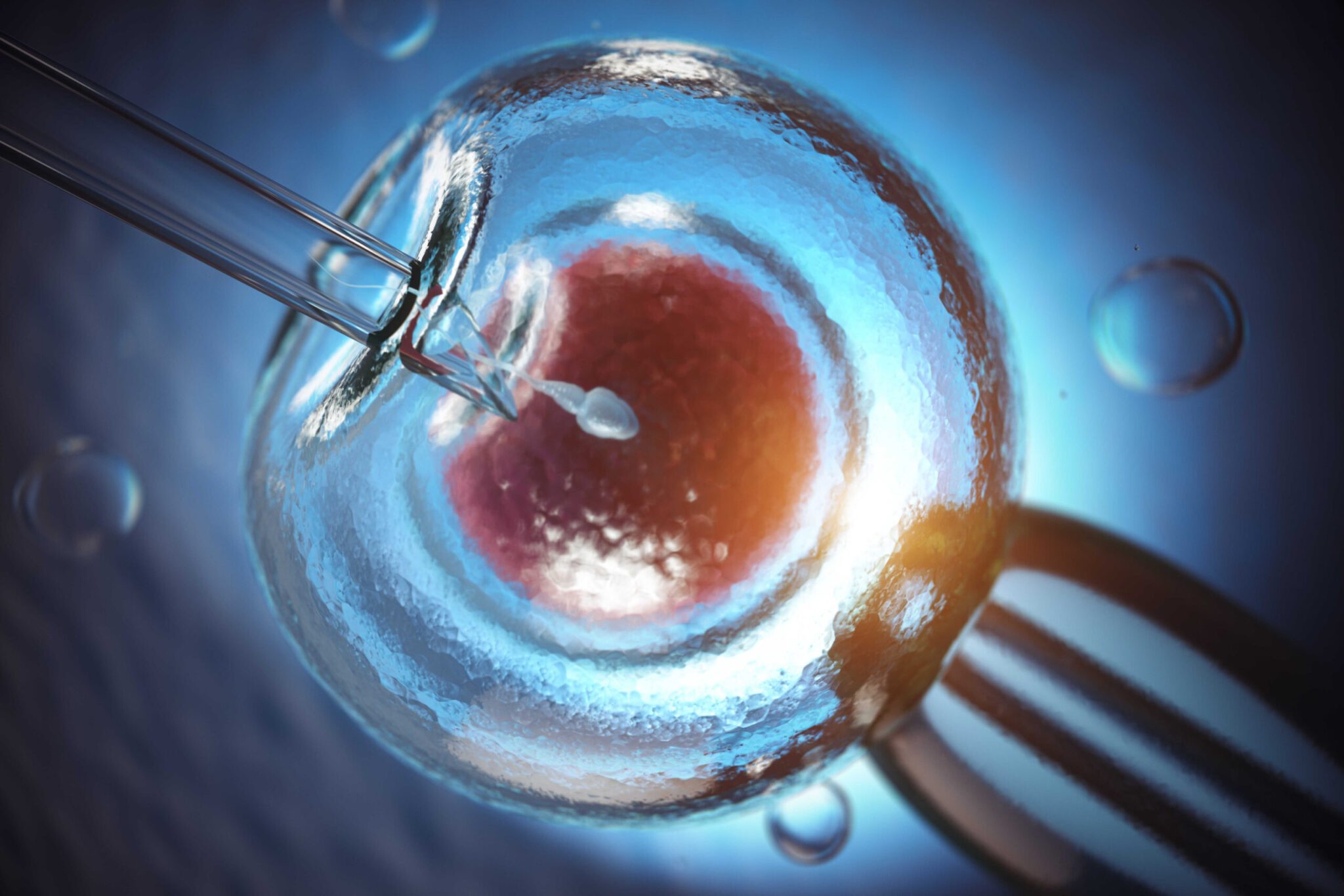 Embrro Gradin Embryo Grading in IVF: What the Grades Mean for Success Rates - The IVFN